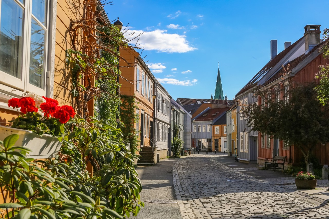 Deserted street with colourful wooden building, plants and church spire in the background. © liramaigums/stock.adobe.com 