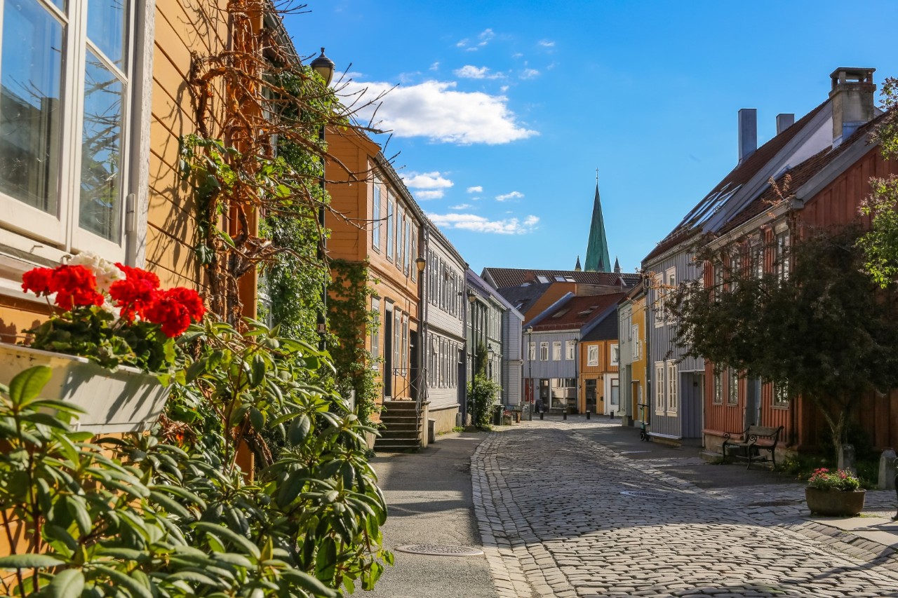 Deserted street with colourful wooden building, plants and church spire in the background. 