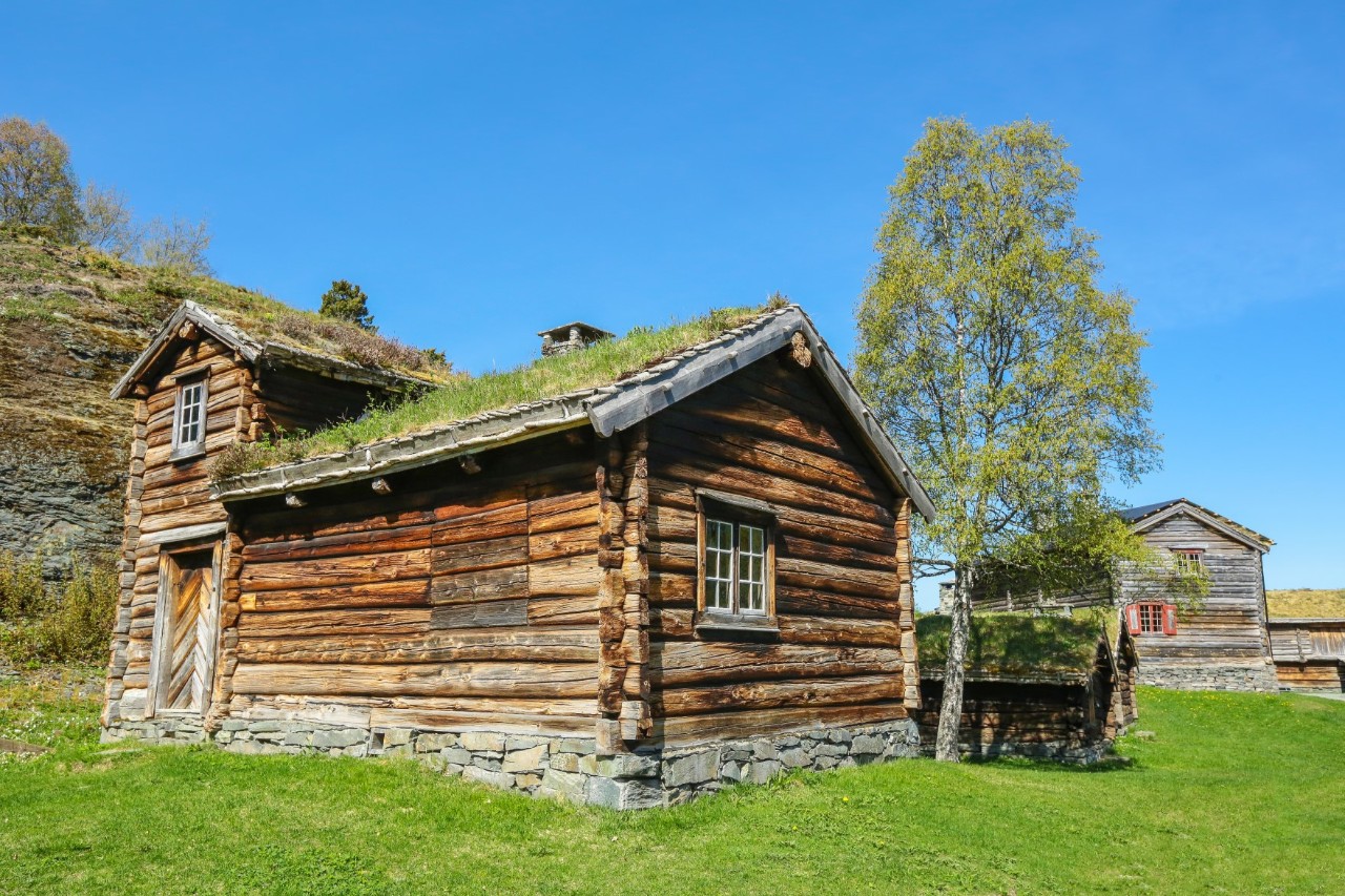 Two old log cabins on a meadow with a tree. 