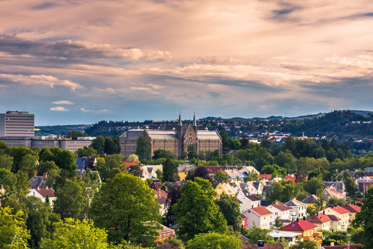 Panoramic view of the university surrounded by buildings and greenery. 