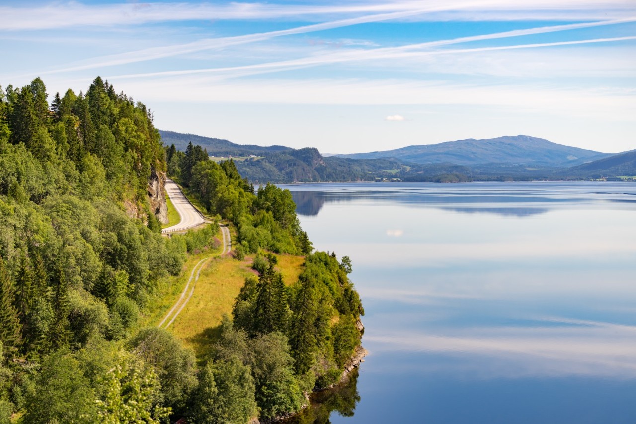 Natural landscape with lake on the right, forest and mountains on the left. 