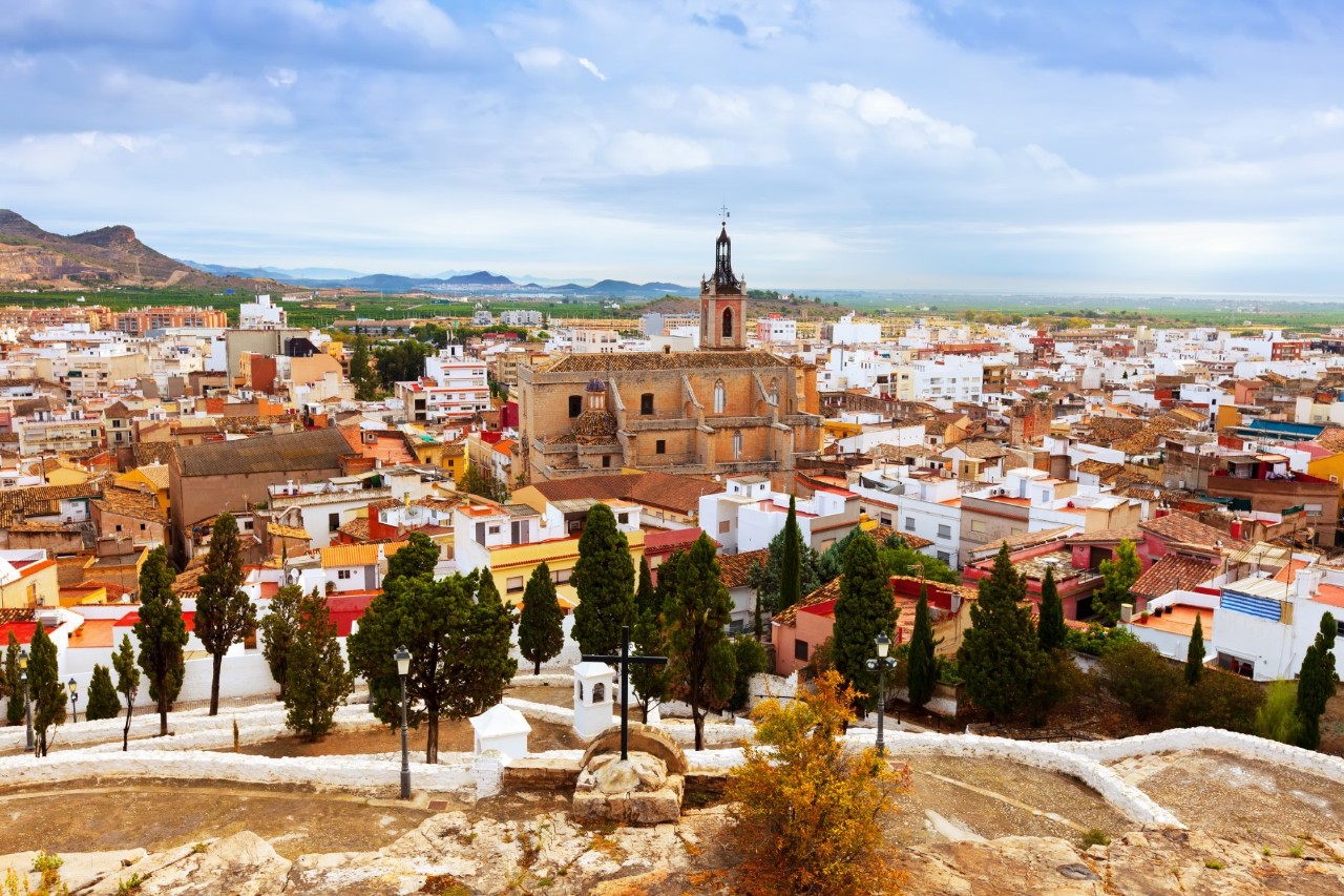 A bird's eye view of a town with a large church in the centre, surrounded by densely built houses. In the foreground is a hilly landscape with trees. In the background is a wide plain.