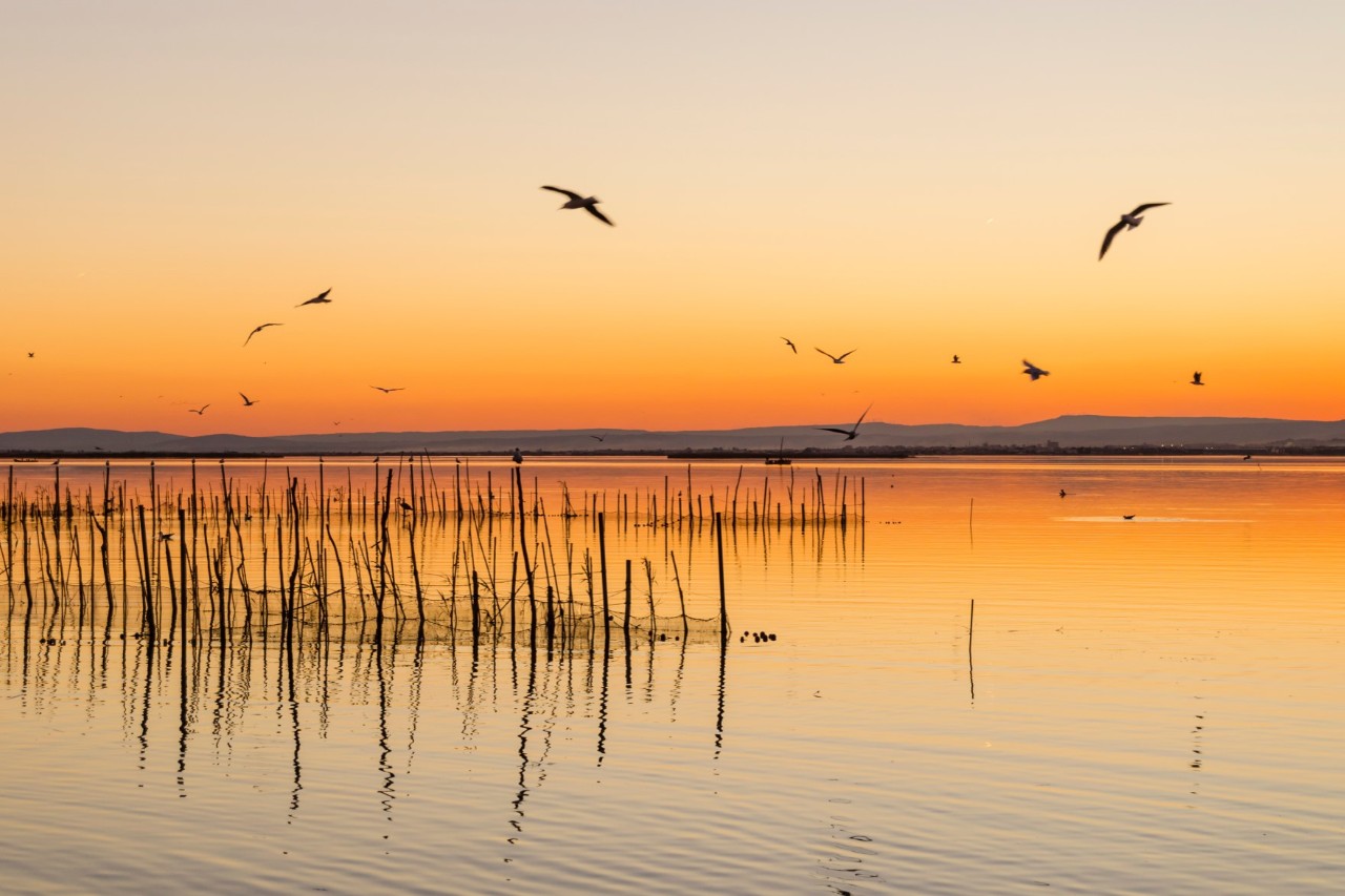 The picture shows a large lake at sunset. In the foreground, thin wooden poles protrude from the water while birds fly overhead. Distant hills can be seen on the horizon.