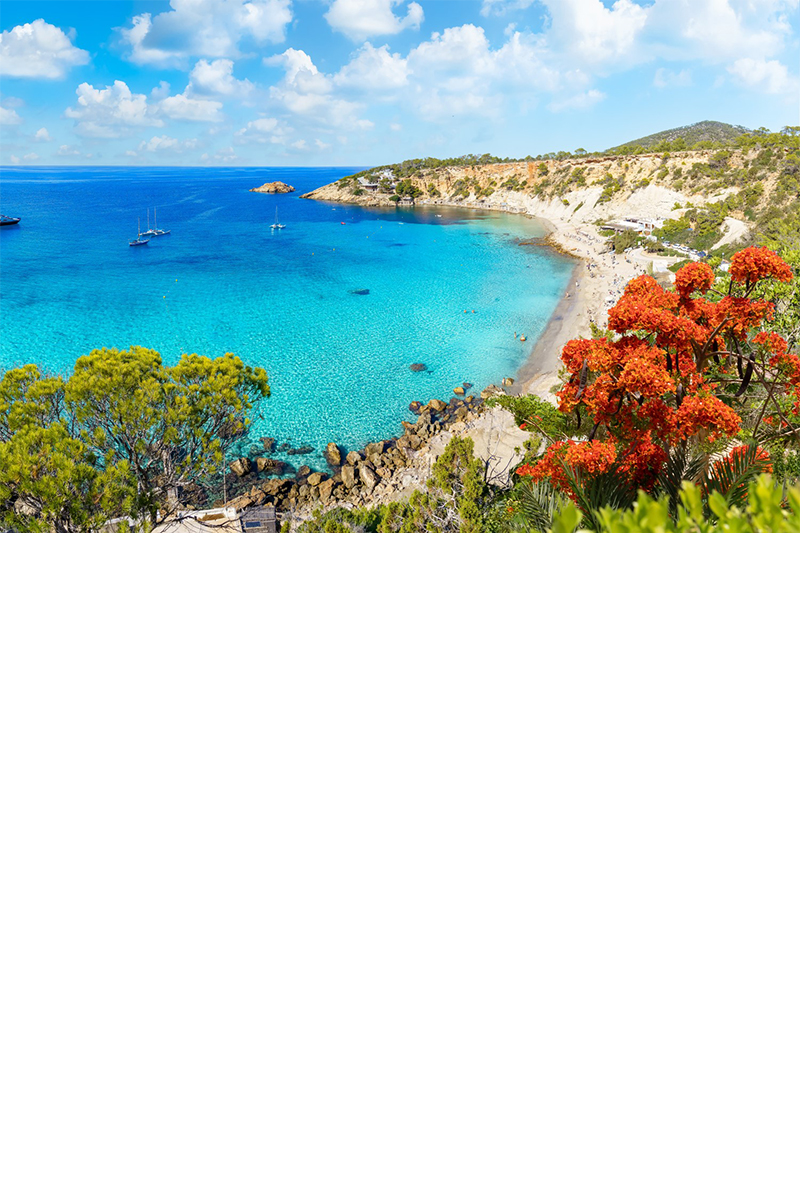 The image shows a bay with clear, turquoise water surrounded by green vegetation and steep cliffs. Several boats are at anchor. In the background, rocky islands can be seen in the sea. To the right, a sandy beach stretches out, while red flowers can be seen in the foreground. 