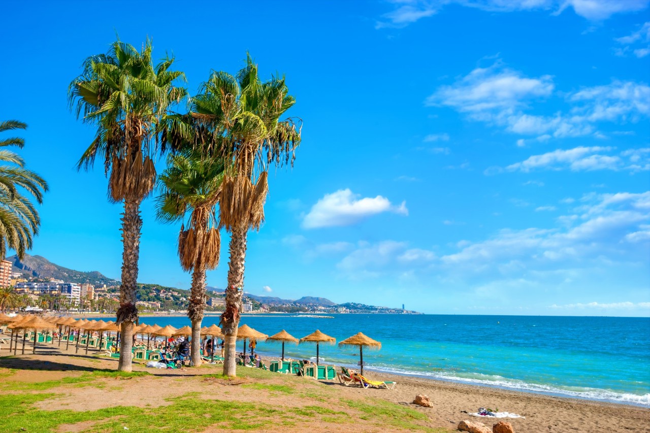 Palm trees and thatched sunshades on a sunny stretch of beach. 
