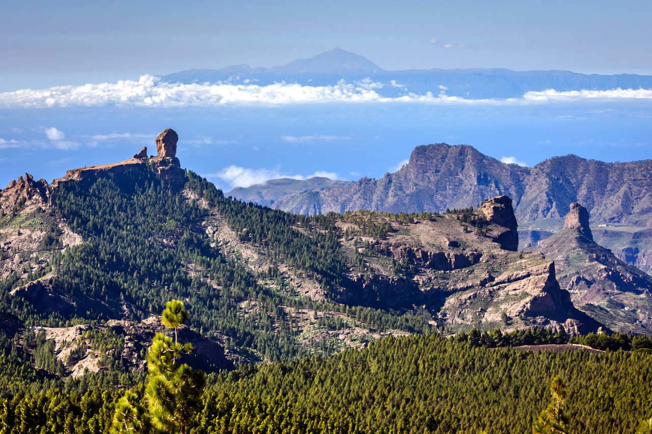 View from Pico de las Nieves 