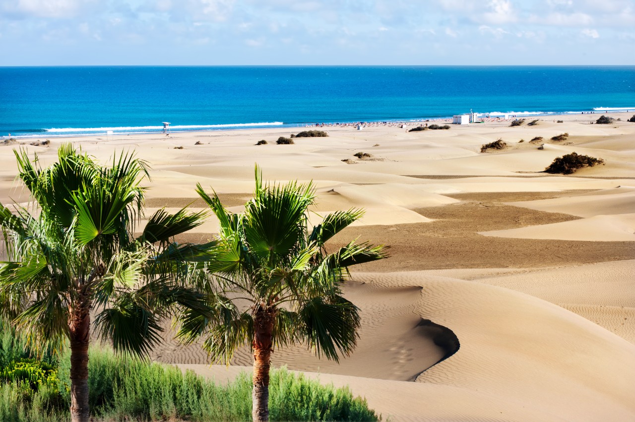 Maspalomas sand dunes © Valery Bareta / AdobeStock