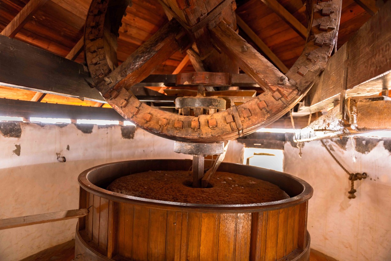 Cheese museum in Antigua with palm trees and traditional architecture.