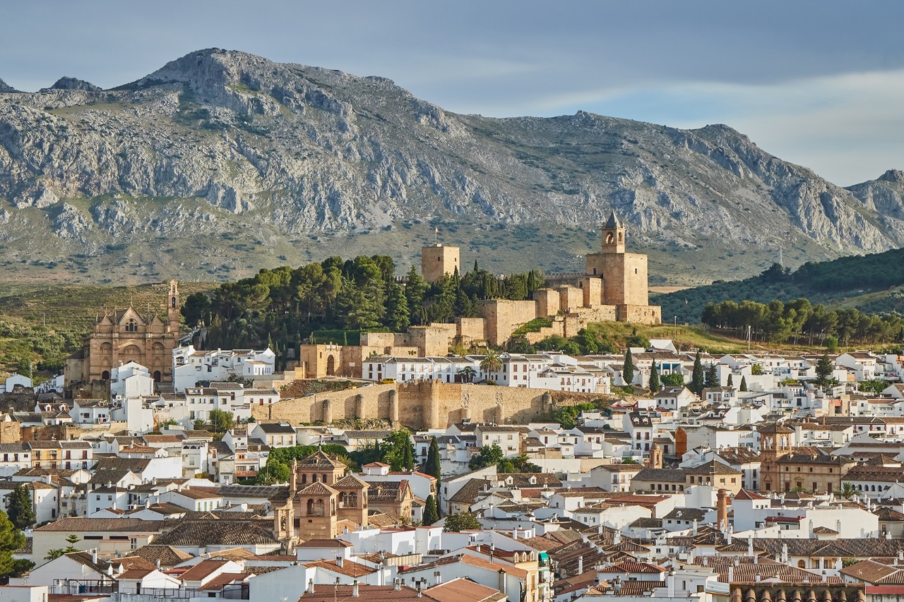 Panorama of a historic town with whitewashed houses, a large fortress on a hill and mountains in the background.