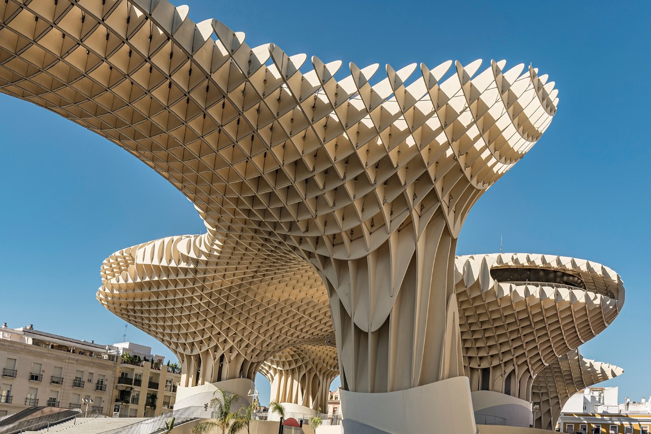 Frog's-eye view of a modern, light-coloured wooden sculpture with an organic wave shape supported by tall pillars under a blue sky.