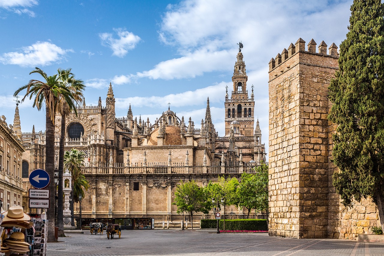 View of an imposing cathedral surrounded by palm trees, trees, old city walls and a deserted square in the foreground.
