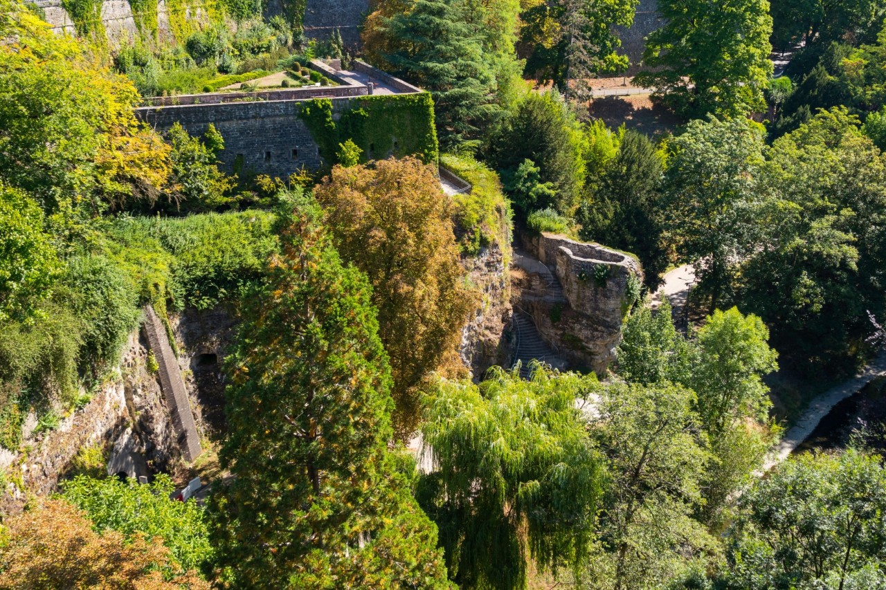 Green area with trees and elements of stone walls 