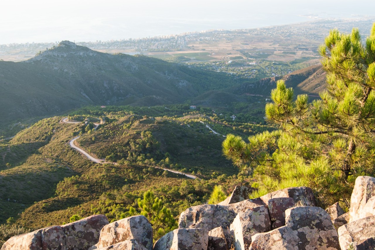 Boulders and conifers in the foreground, behind them a mountainous green through which a road winds, coast with towns in the distance 