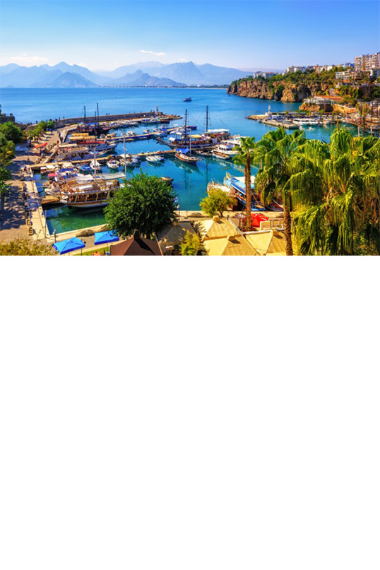 View of a harbour with sailing and fishing boats, surrounded by palm trees and green trees. In the background, the blue sea extends to the mountains. Residential buildings can be seen on the right. 
