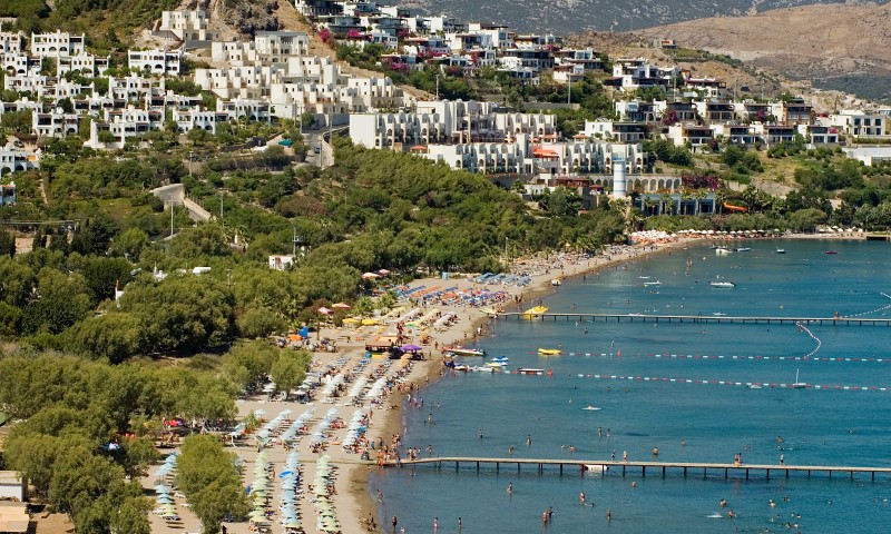 View from above of a lively beach with umbrellas and the sea, behind the beach are trees and houses