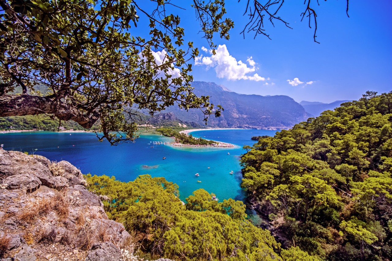 A turquoise sea bay surrounded by green pine forests and mountains in the background. Green branches and rocky cliffs stretch out in the foreground.