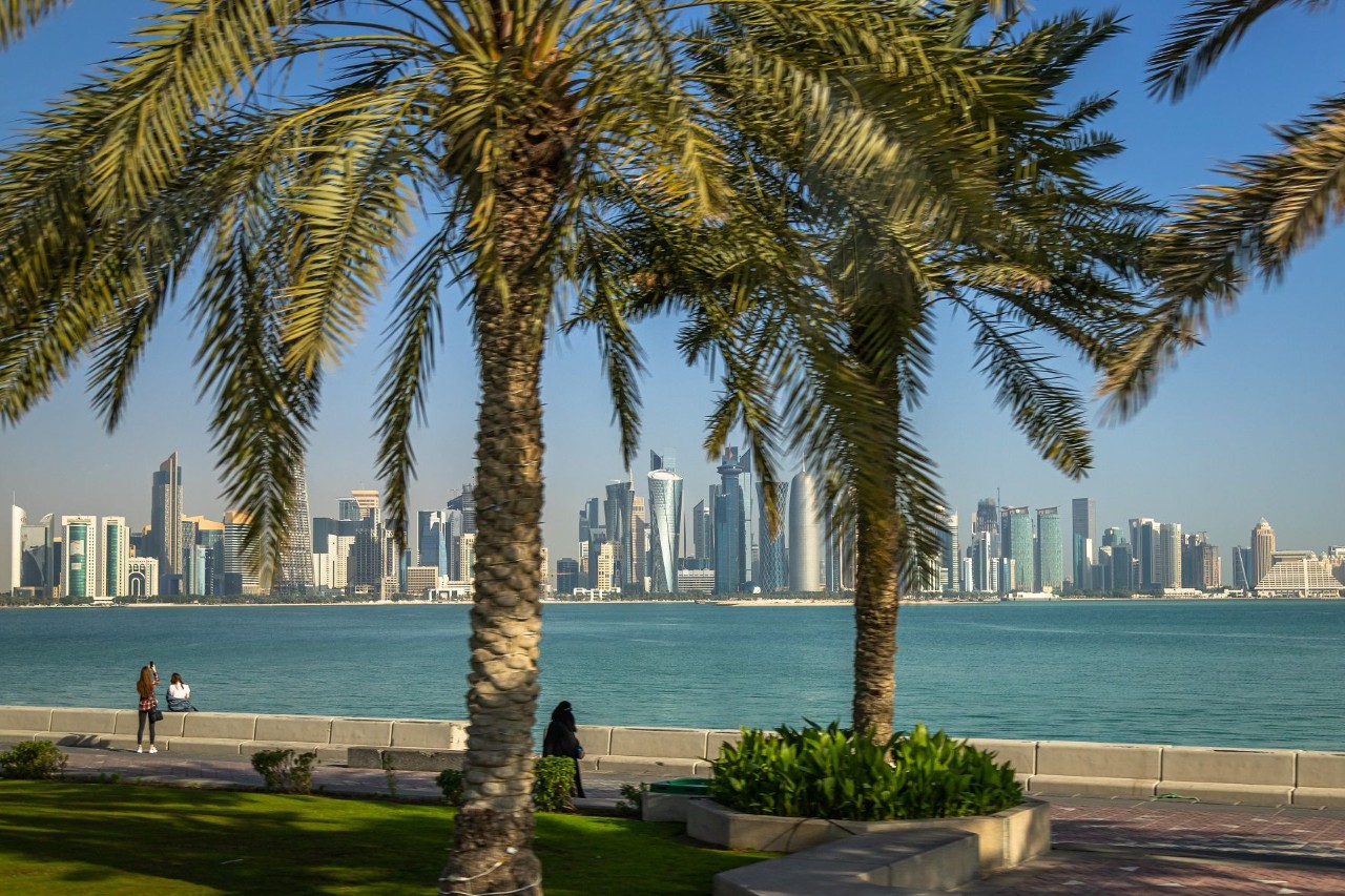 Qatar waterfront with palm trees and skyline in the background.