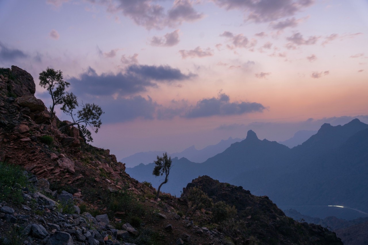 Evening atmosphere with partly pastel-red sky, in the mountains, lone trees in the foreground. 