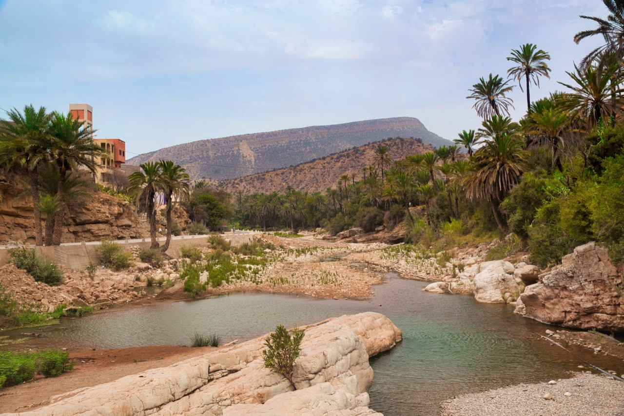 In the foreground, a small body of water is encircled with sand-coloured stones. Palm trees grow on both sides. On the left in the background is a building slightly obscured by palm trees. A mountain rises in the background.
