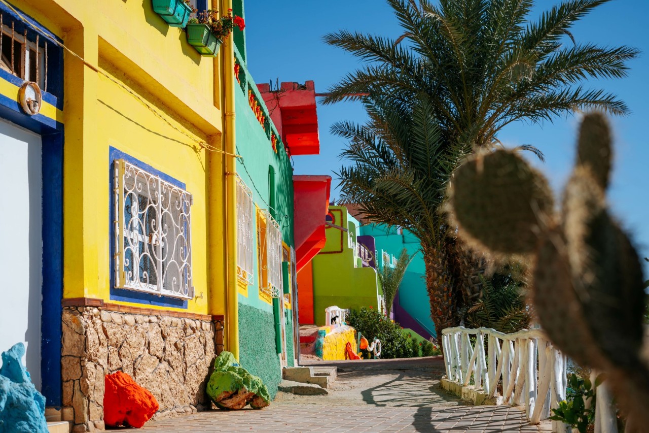 View of a small street with a colourful row of houses. To the left of the street is a yellow house, behind it a green, red and then another yellow house.  To the right of the street and opposite the houses is a low white wooden fence. A large cactus can be seen in the blurred foreground on the right. Further back are palm trees as tall as houses.