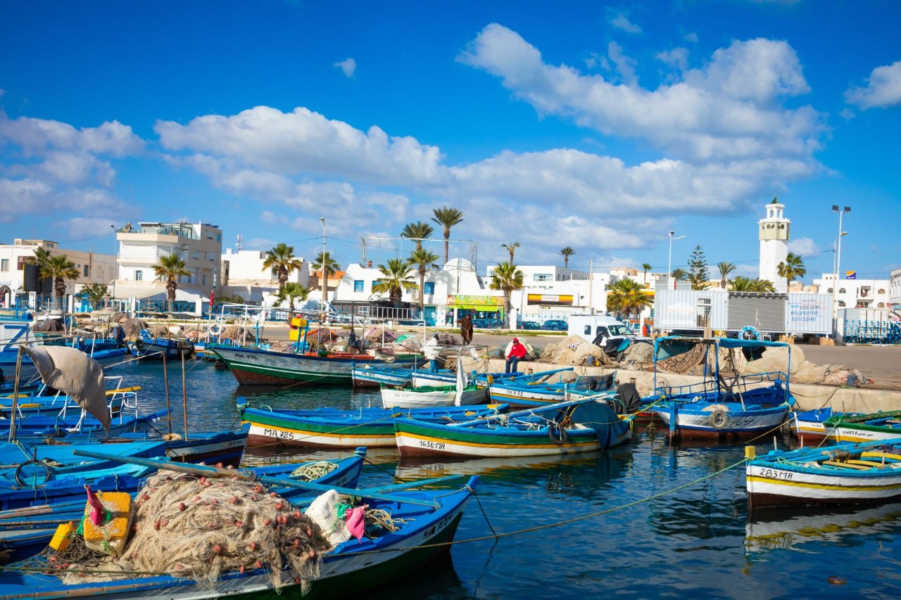Small harbour with many colourful fishing boats in the foreground. White buildings, palm trees and a lighthouse can be seen in the background.