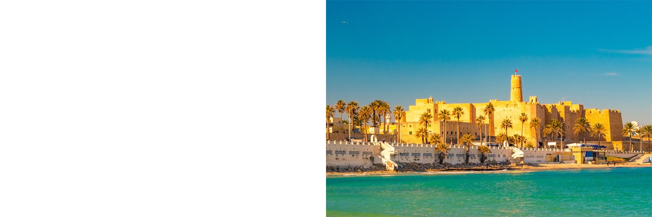 Coastal town with a historic, sun-drenched golden-yellow sandstone fortress in the centre, surrounded by palm trees and white buildings along the sandy beach. The turquoise blue Mediterranean Sea can be seen in the foreground. 