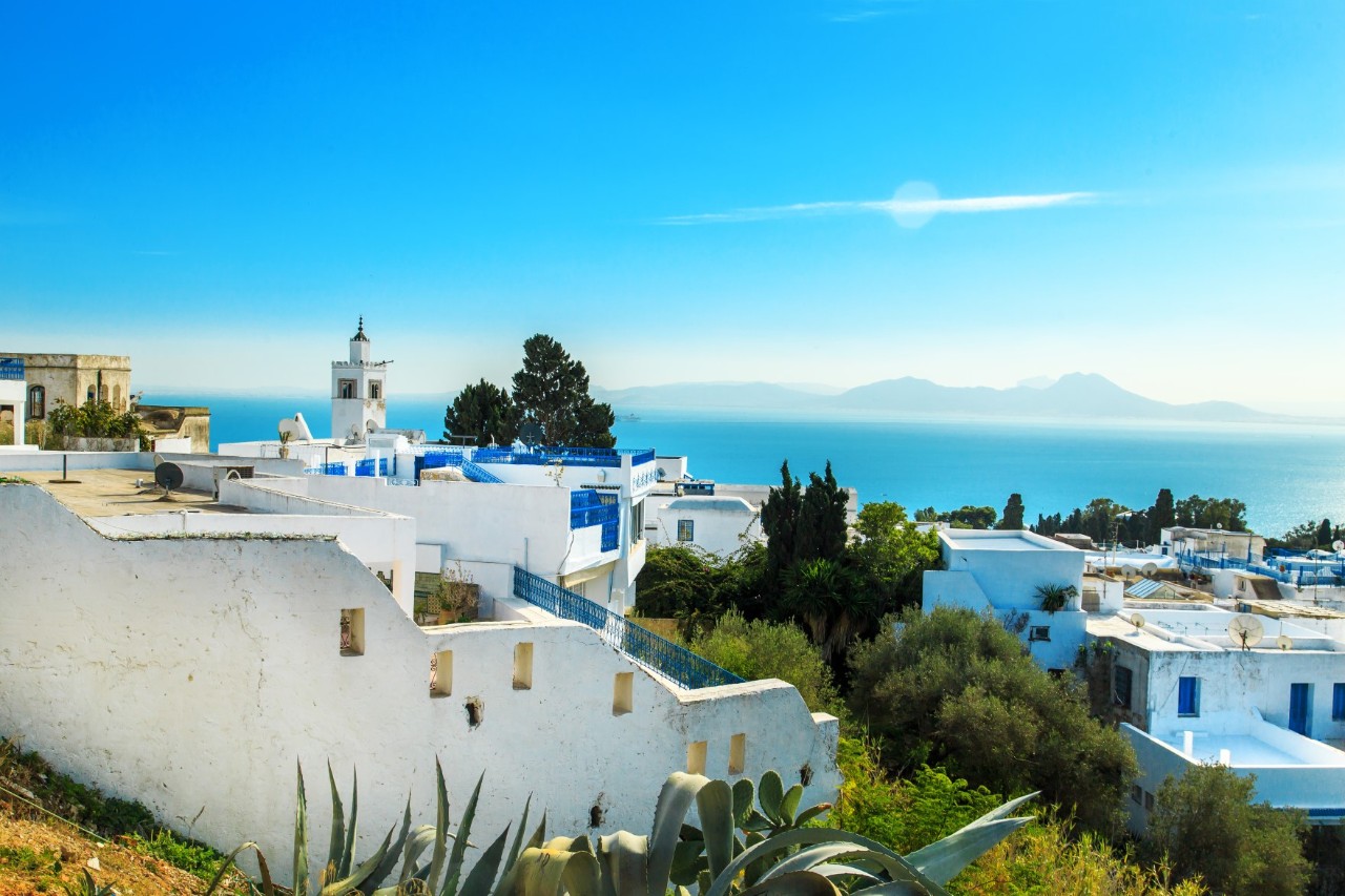 The picture shows a Mediterranean town with white houses, blue accents, green trees, and shrubs. In the background, the blue sea and a mountain range are visible.