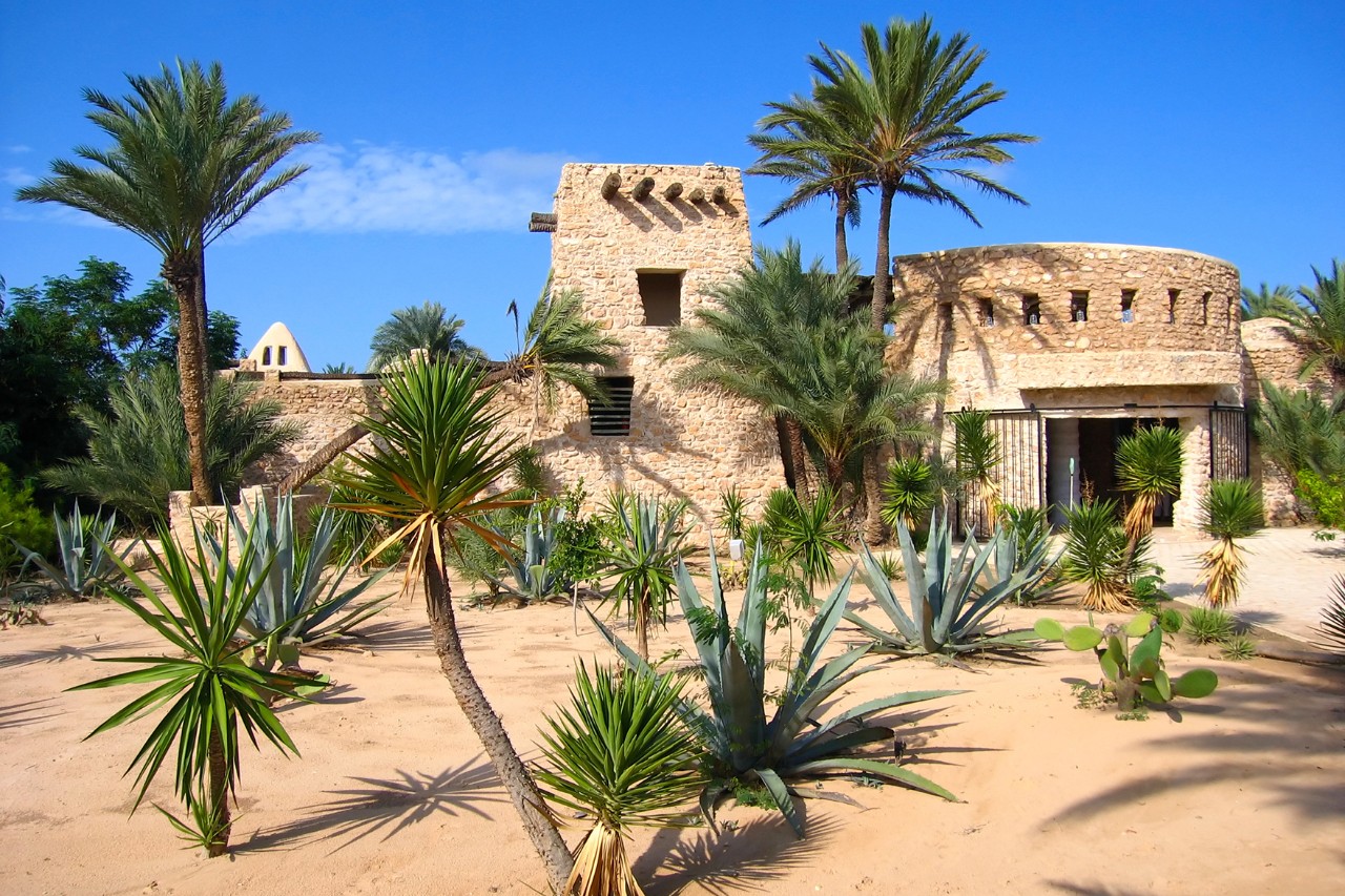 A sandstone-colored building with a round tower and an angular tower, surrounded by palm trees, agaves, and desert plants in a dry, sandy garden under a blue sky.