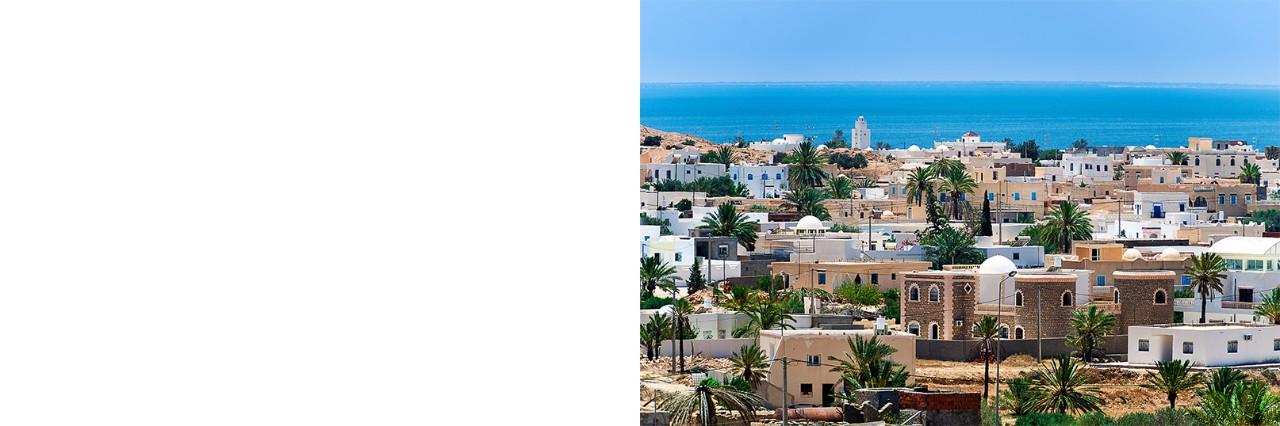 View of a coastal town with white and sand-colored houses, palm trees rising between them. The blue-turquoise sea can be seen in the background.