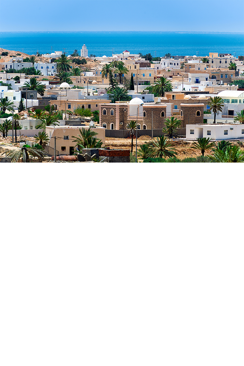 View of a coastal town with white and sand-colored houses, palm trees rising between them. The blue-turquoise sea can be seen in the background. 