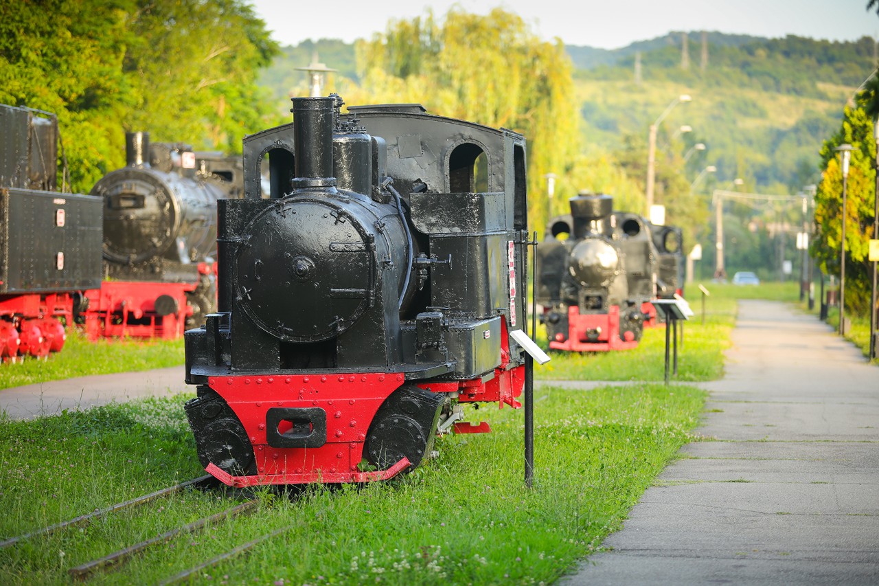 Several black steam locomotives with red undercarriages stand outdoors on tracks next to a footpath, with green trees and hills in the background.