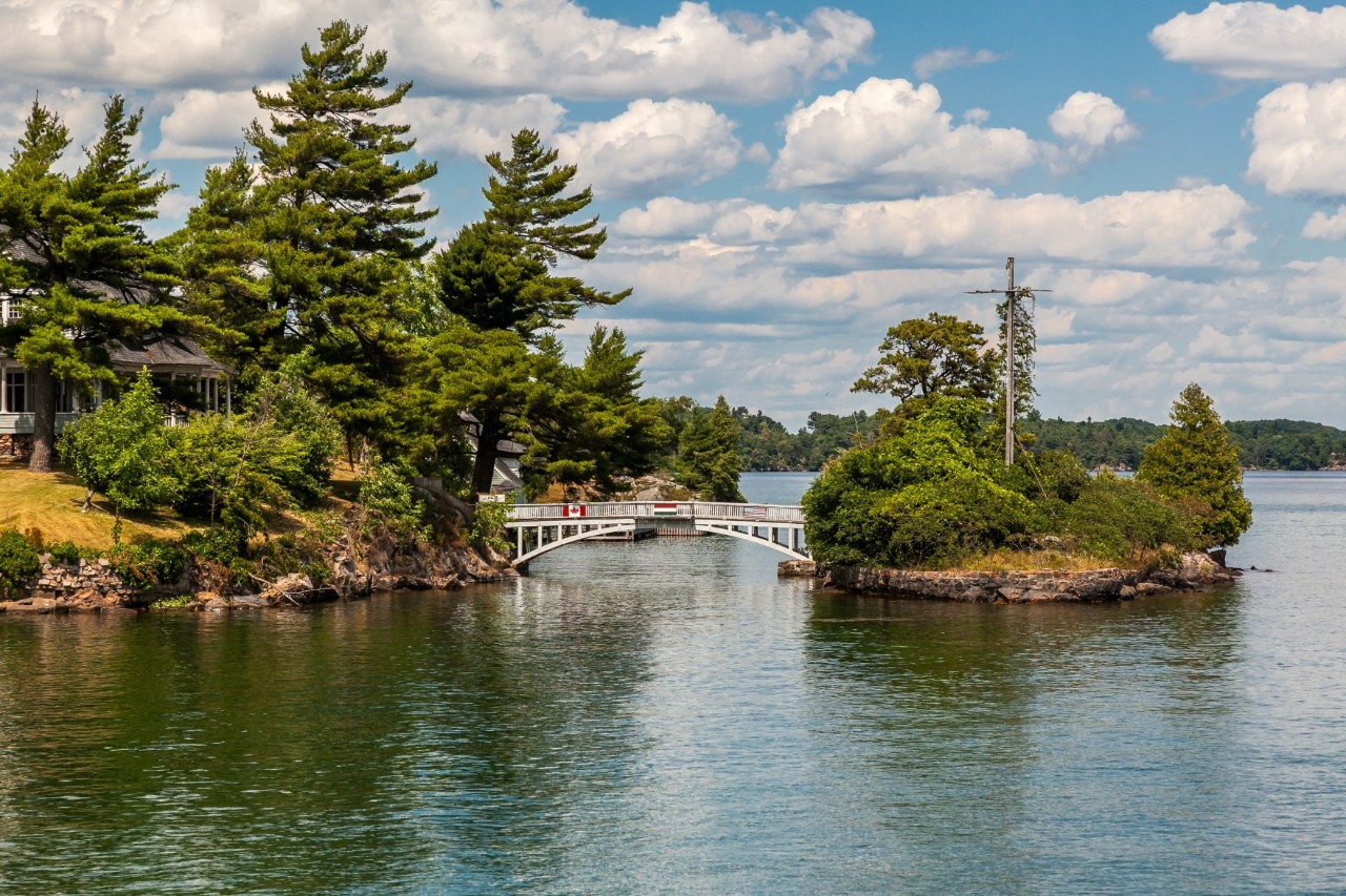 A lakeshore overgrown with conifers. A small white bridge leads to an island covered with shrubs and trees.
