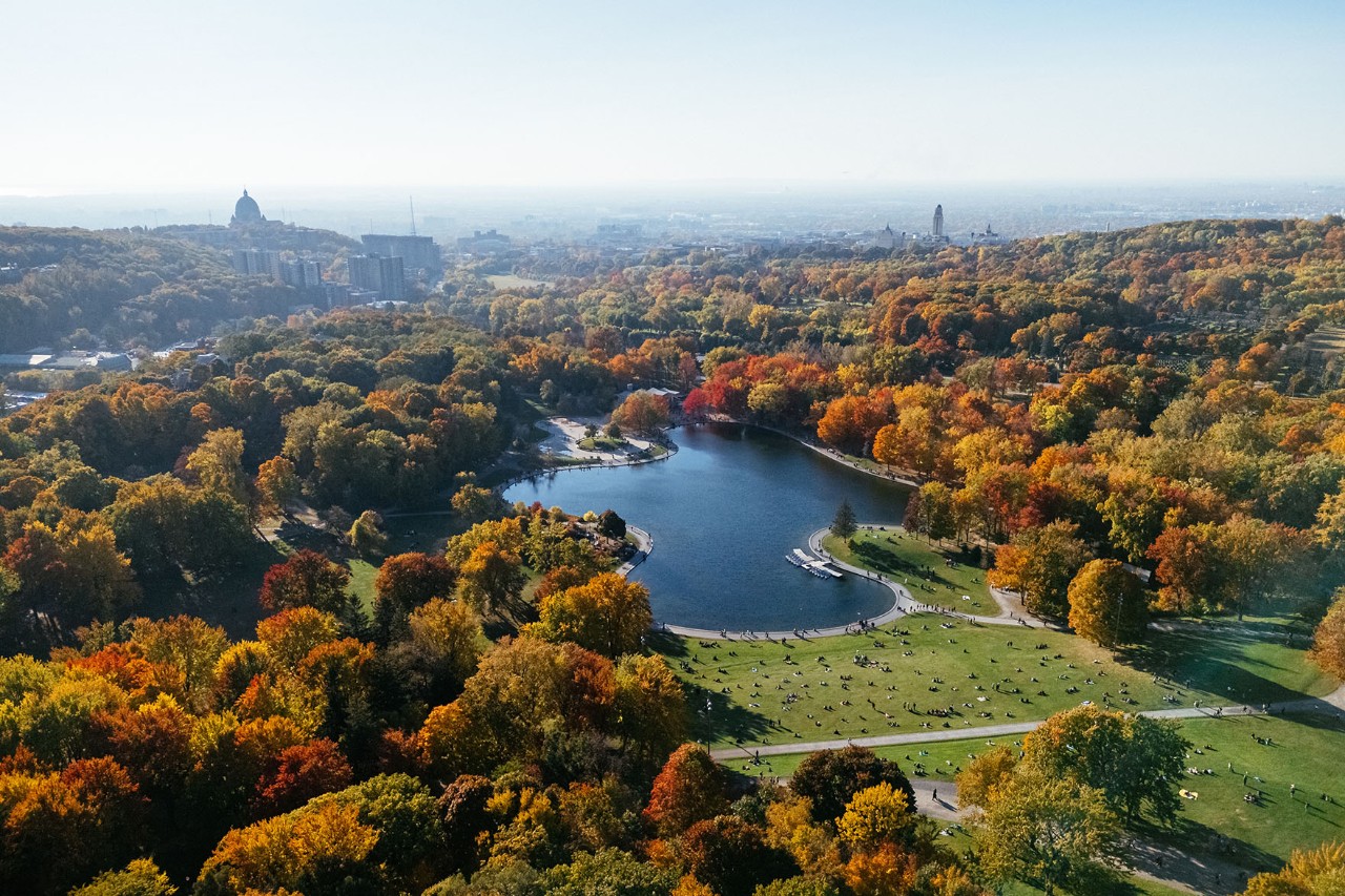  Aerial view of a park with a lake, green and colourful autumn trees, and city buildings in the background.