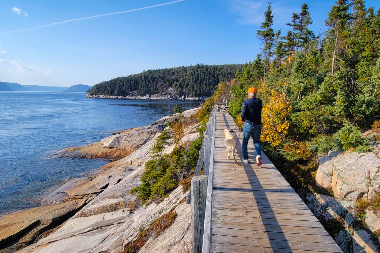A wooden walkway leads along a rugged coastline with rocks, coniferous trees, and sweeping views of a fjord. A person walks toward the water with a dog, surrounded by autumn colours.  