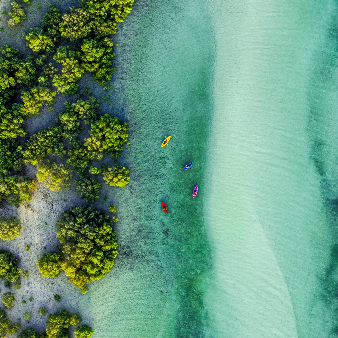 Find out more about: Destination Abu Dhabi