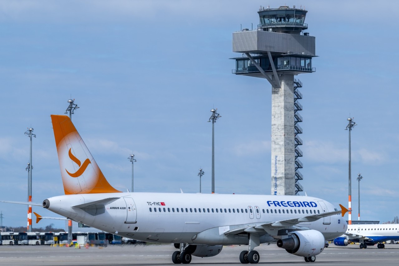 Freebird in front of the Tower