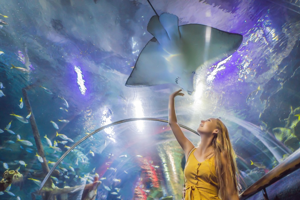 A girl standing in the tunnel at the Dubai Mall aquarium