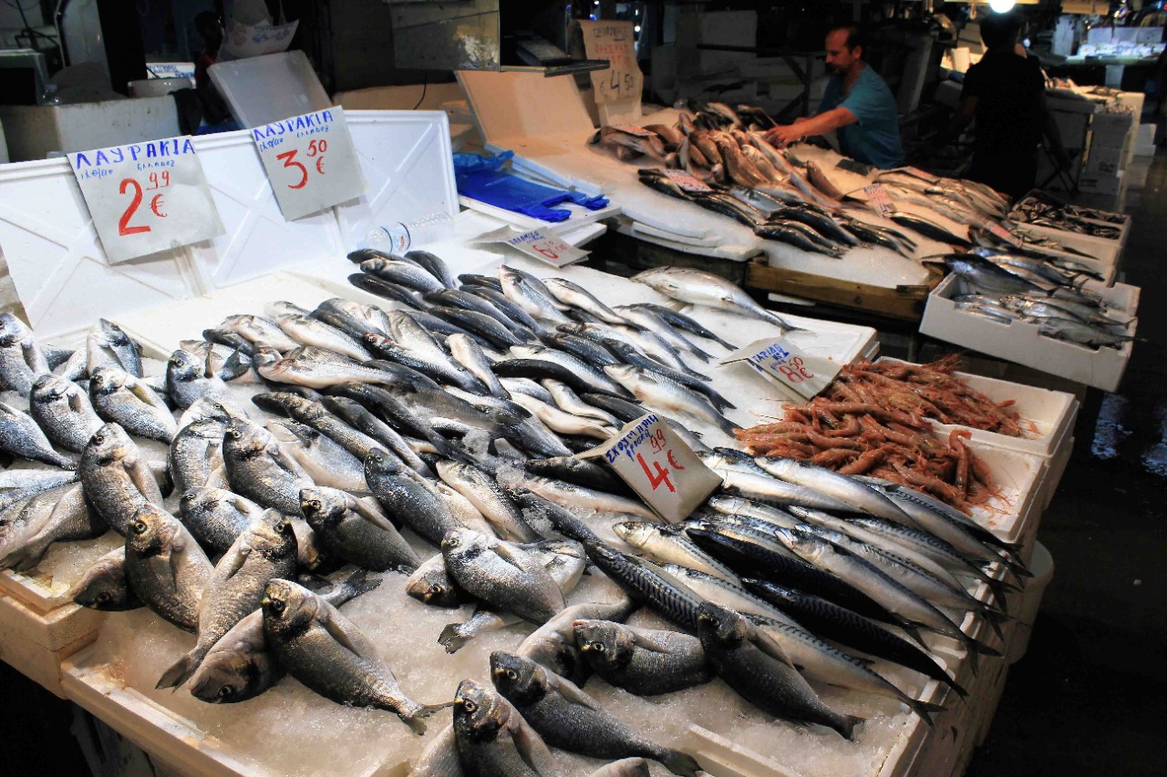 Fresh fish on ice displayed in the Athens market hall.