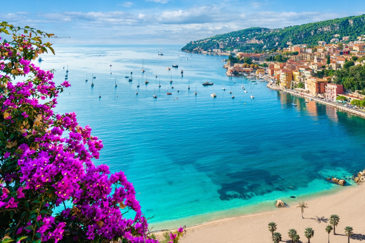 Beach at Villefranche-sur-Mer, turquoise bay with lots of sailboats, purple shrub on the front left, coast of Villefranche-sur-Mer on the right 