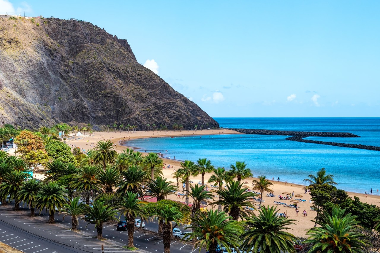 Sandy beach Playa de las Teresitas and a car park lined with palm trees in front of it. 