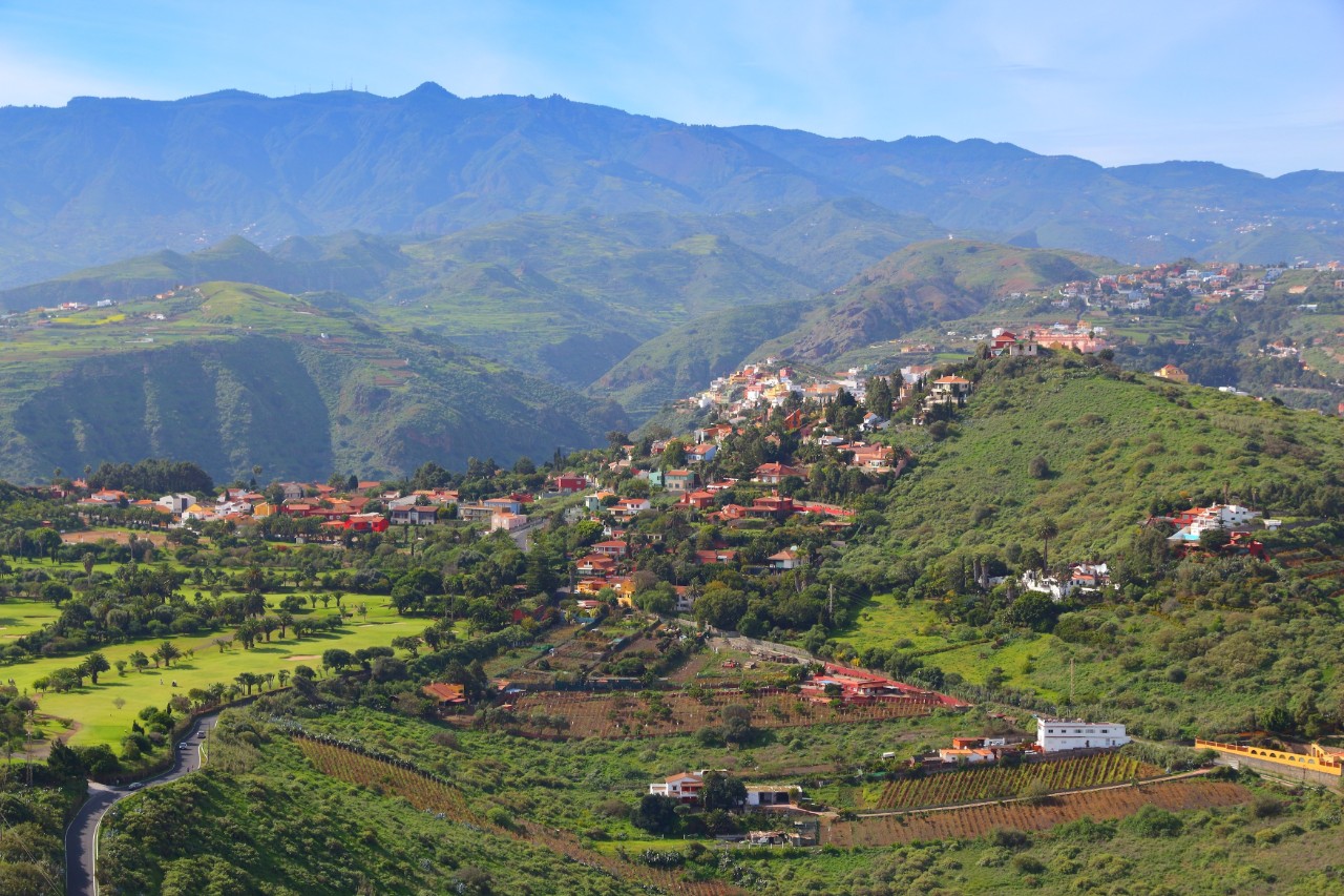 Valley in Santa Brígida with fruit trees, vineyards, and dragon trees.