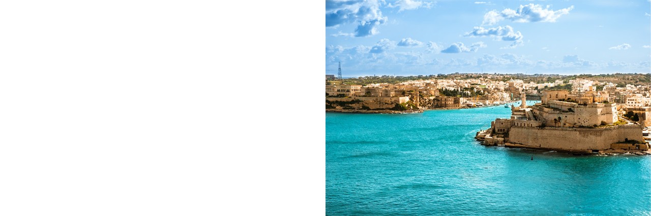 Aerial view of Malta City’s harbor entrance with fortress and old town.