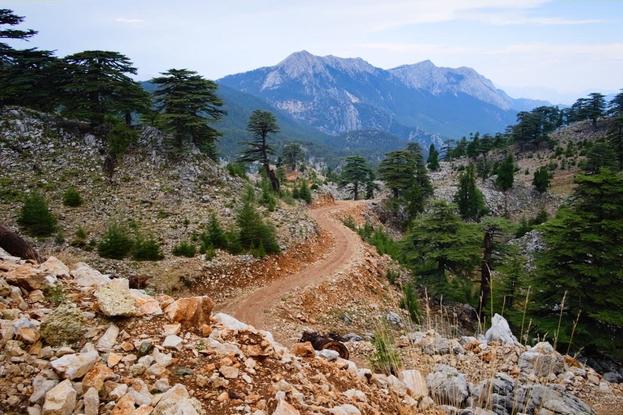 Winding hiking trail that leads through a rocky landscape with coniferous trees. Tall mountains can be seen in the background.
