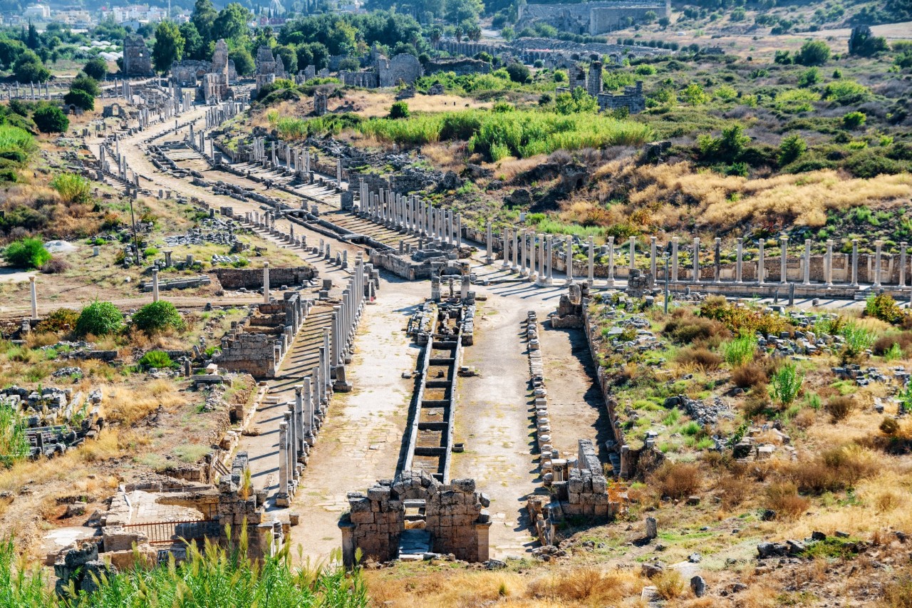 Ancient ruin with a long, column-lined street, as well as the remains of buildings and stone walls, surrounded by dry, partly green vegetation.