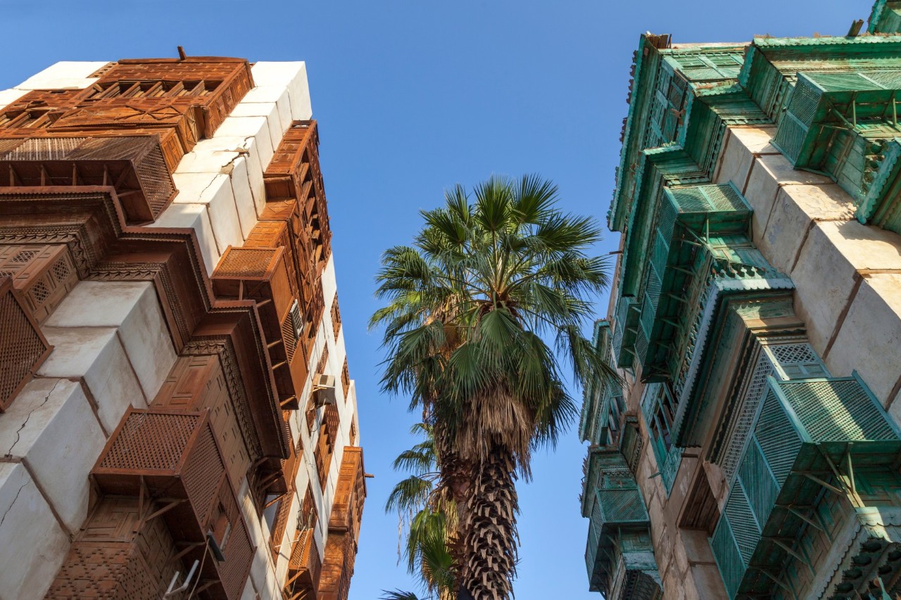 Old buildings with green and brown wooden balconies with a palm tree in between. 