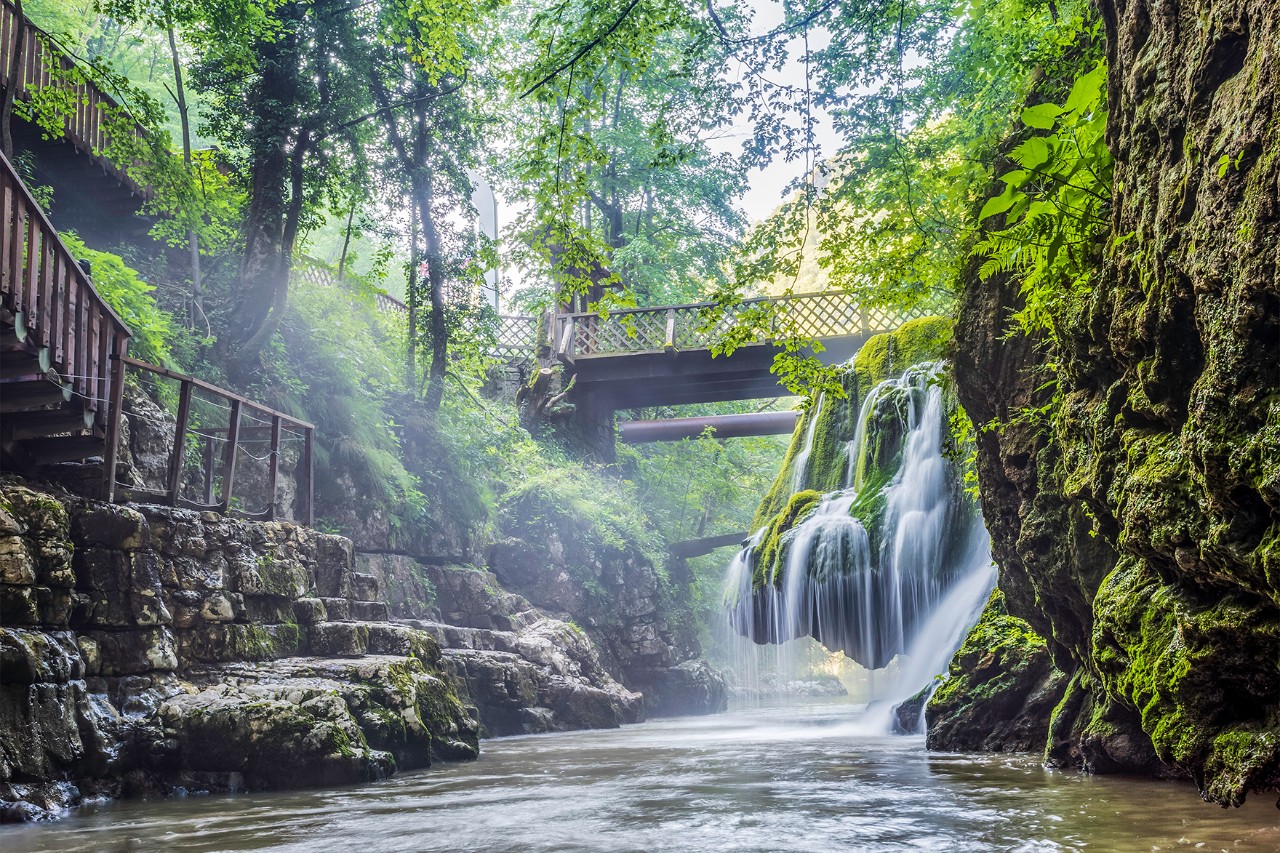 Small waterfall in a gorge covered with green plants, with a wooden bridge and stone steps in the forest.