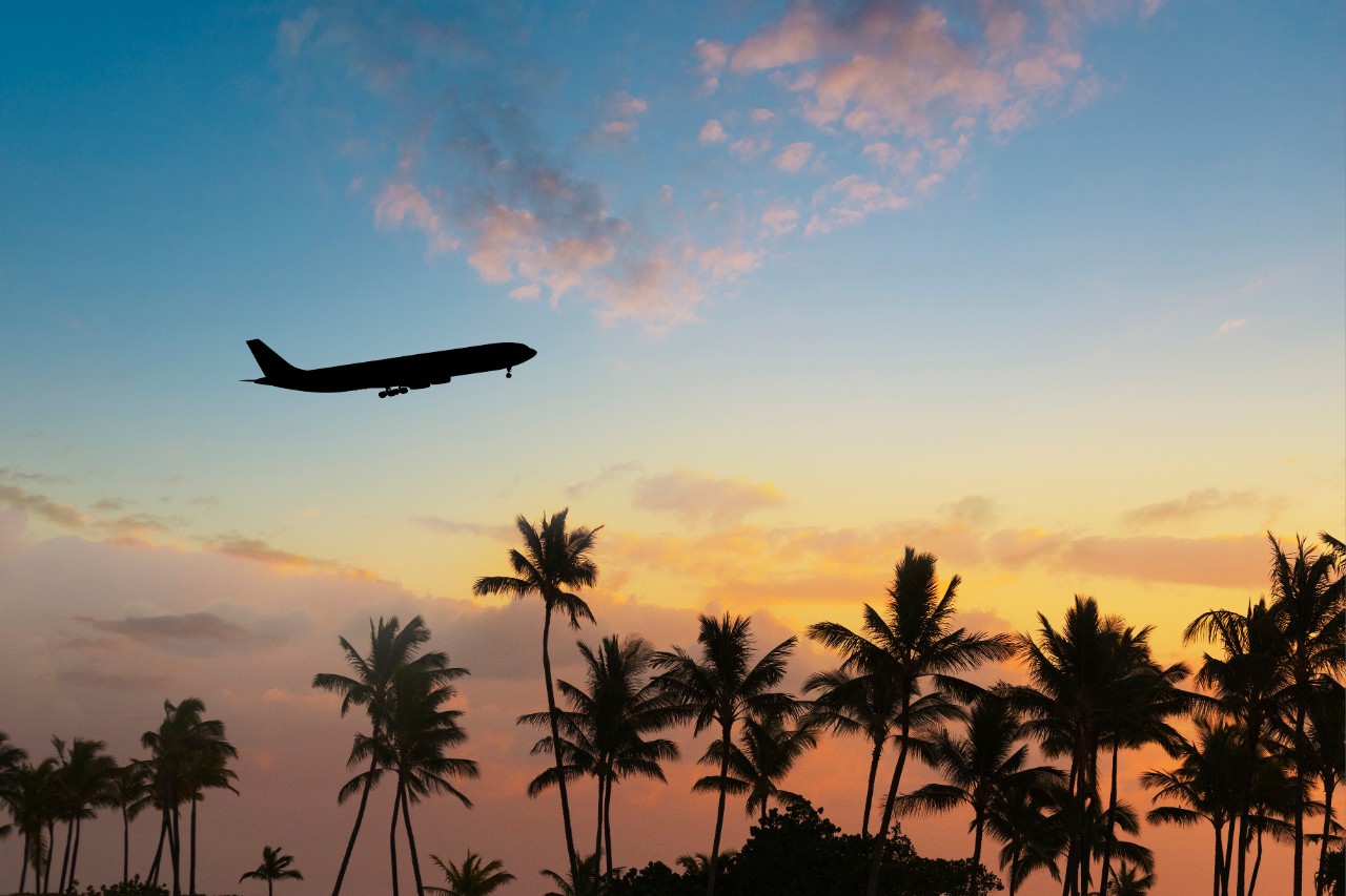 Airplane in the evening light. Palm trees below.