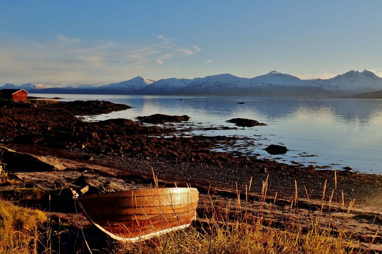 View of a landscape with water and mountains behind. In front a boat on the beach.
