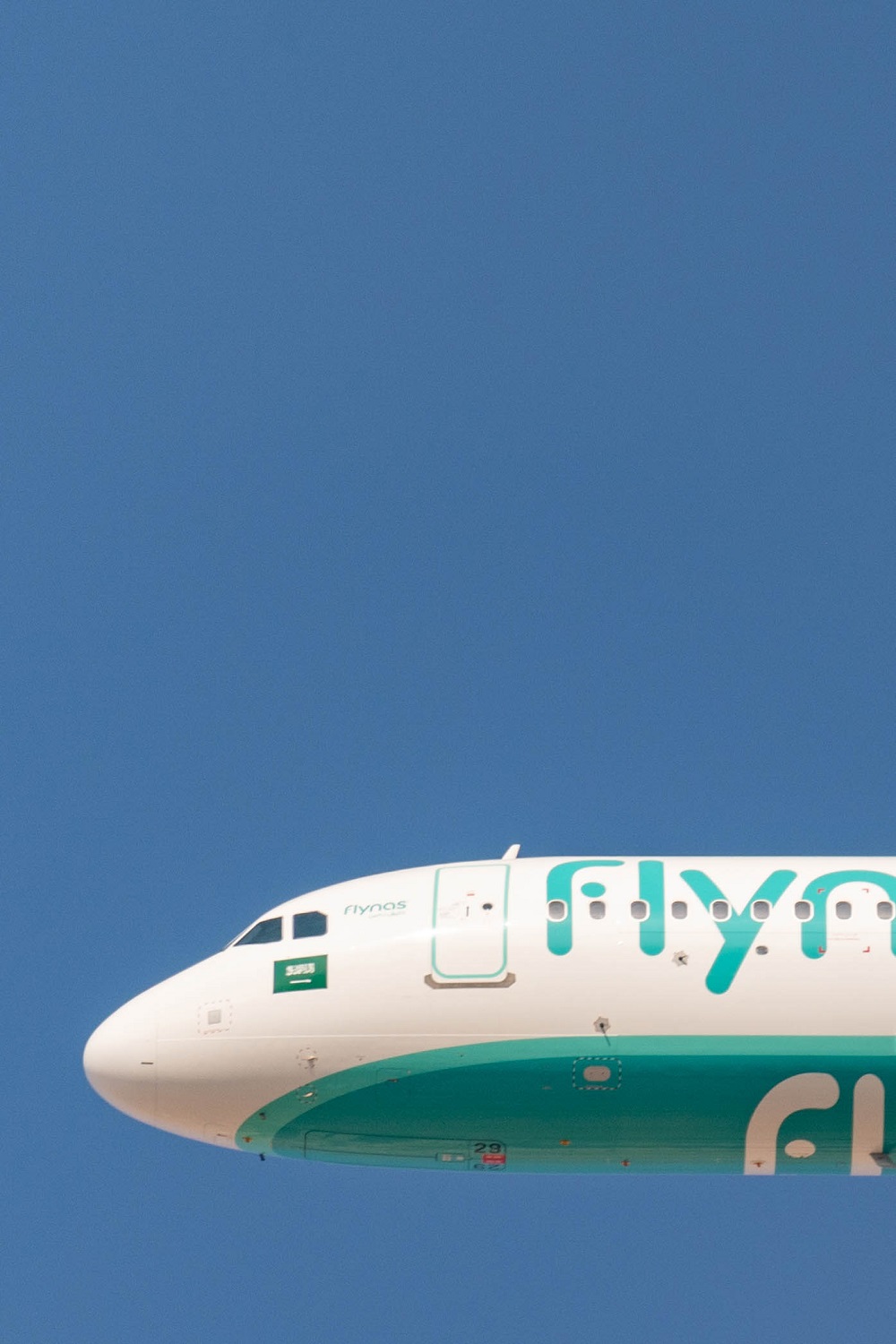 flynas plane in the air.