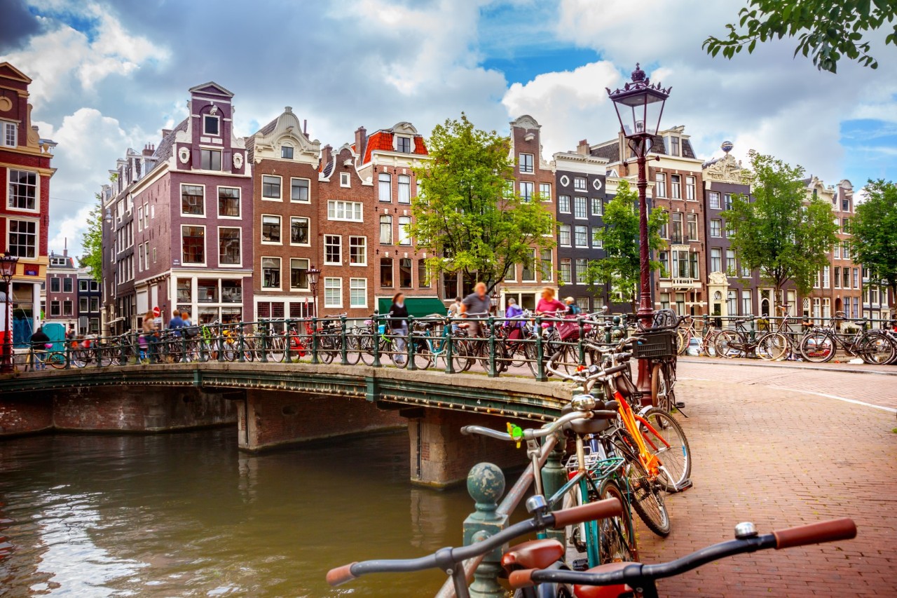 View of houses on a bank. In the foreground a river with a bridge.